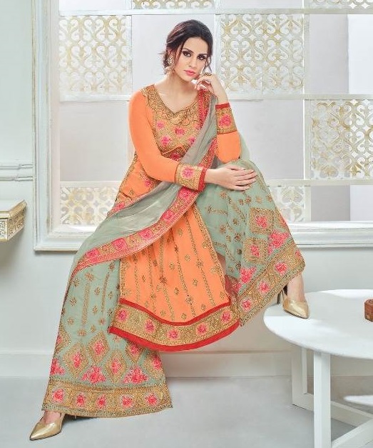 Indian Traditional Dress