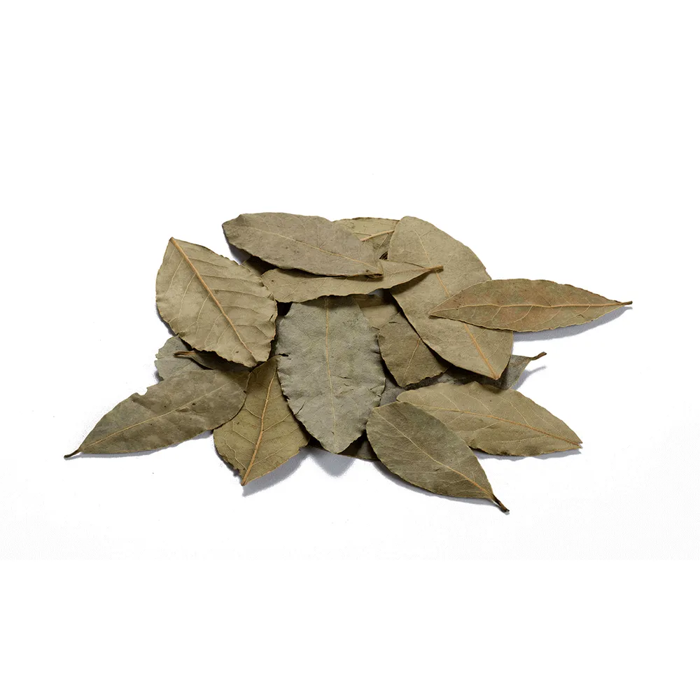 Bay Leaves (Tej Patta)