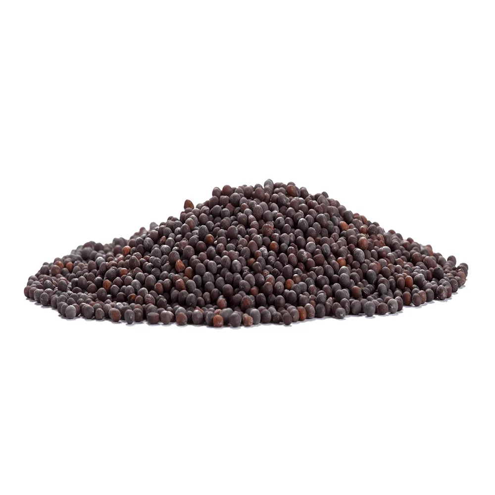 Mustard Seeds (Rai)