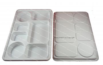 7 compartment plate with lid for to go indian food