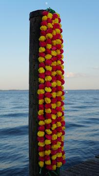 pink yellow marigold garlands