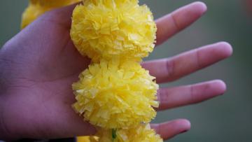 yellow marigold garland s for puja and festival decoration