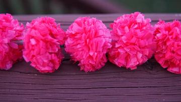 pink marigold garlands party backdrop pink marigold garlands party backdrop