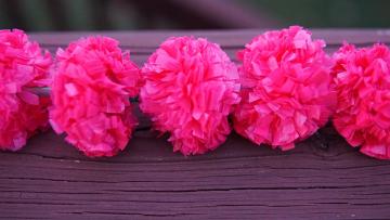 pink marigold garlands party backdrop