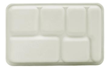 6 Compartment Biodegradable Thali Plates  - Back