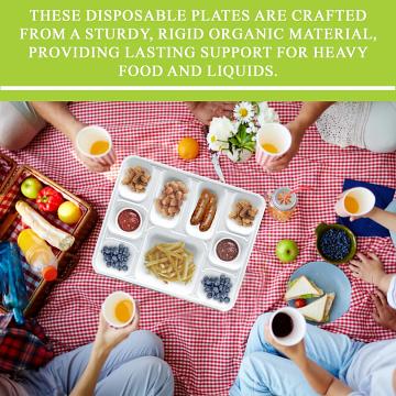 9 compartment disposable biodegradable plates / thali / tray