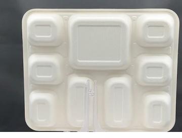 9 compartment disposable plates / thali / tray