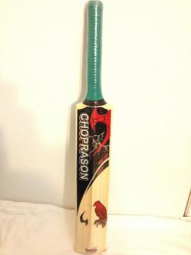 kids cricket bat