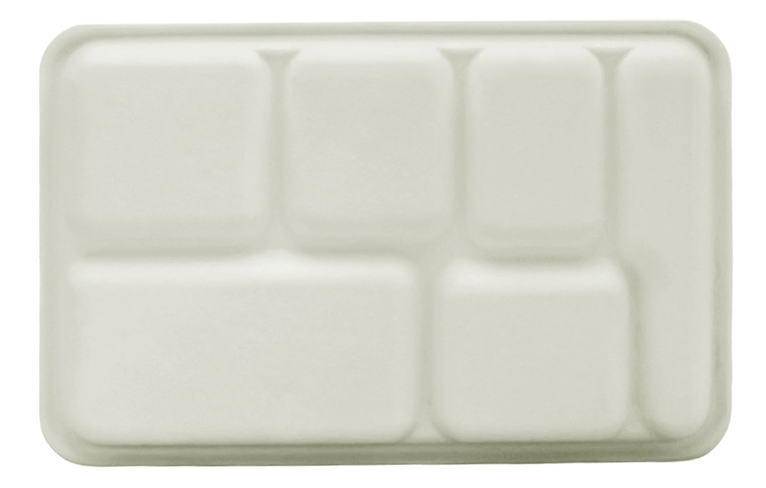 6 Compartment Biodegradable Thali Plates - Back