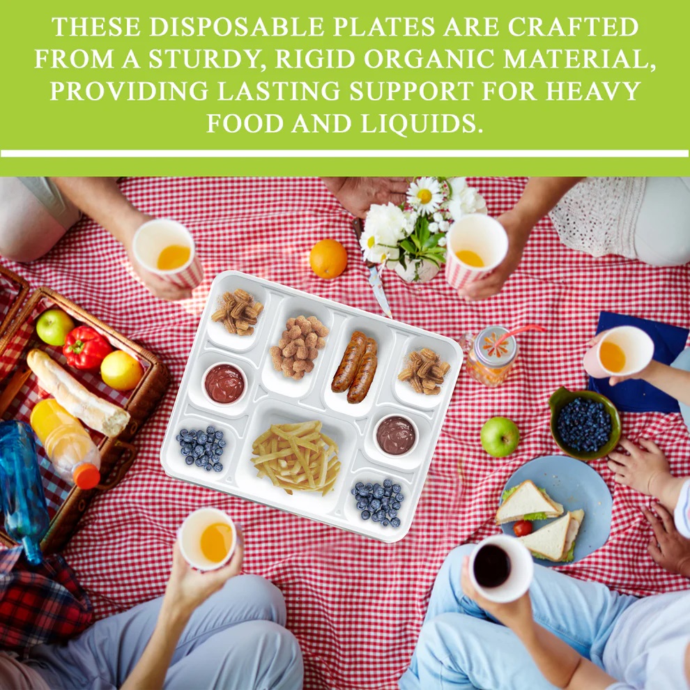 9 compartment disposable biodegradable plates / thali / tray