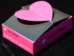 Easy saree clip box Easy saree clip box