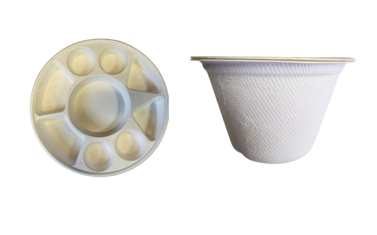 Biodegradable 9-Compartment Plates / Thali / Meal Lunch Dinner Tray - 100 with Bowl