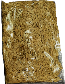Barley Seeds (Jowar Seeds) 100 grms