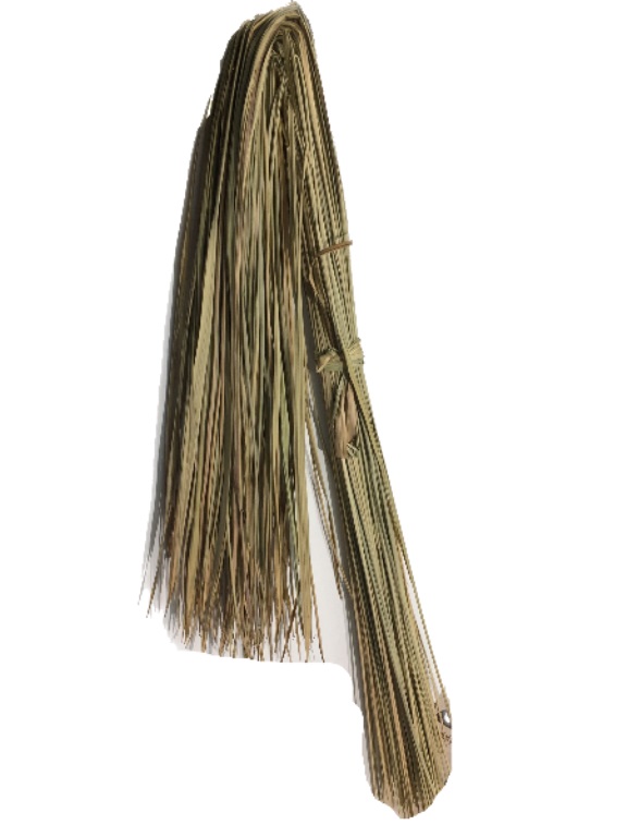 Darbha Grass / Kusha Grass for Pooja 44926 USA
