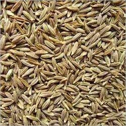 Swad Cumin seeds whole 3.5 lbs
