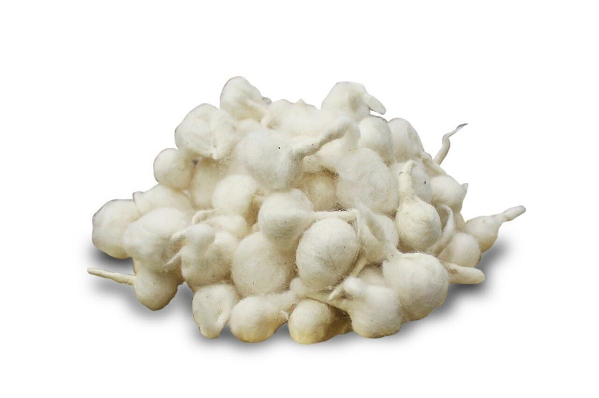 Dulhan Classic Round Vati (Round Cotton Wicks) 100pcs