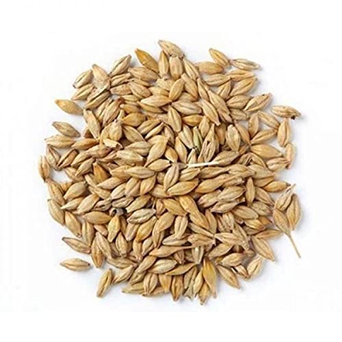 Classic Barley (Jav) Whole 4 oz (100g) ~ All Natural | Vegan | NON-GMO | Indian Origin Classic Barley (Jav) Whole 4 oz (100g) ~ All Natural | Vegan | NON-GMO | Indian Origin