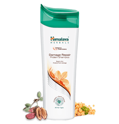 Himalaya Damage Repair Protein Shampoo With Chickpea And Almond For Dry Frizzy 400ml Himalaya Damage Repair Protein Shampoo With Chickpea And Almond For Dry Frizzy 400ml