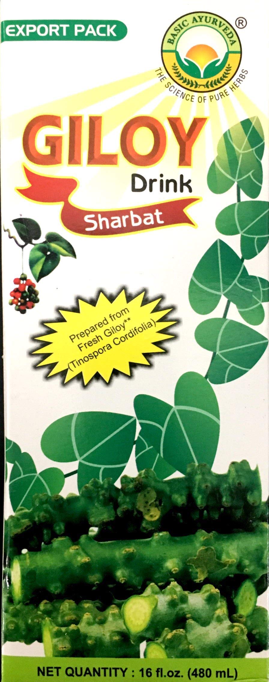 Patanjali Giloy Ghanavati 480 ml