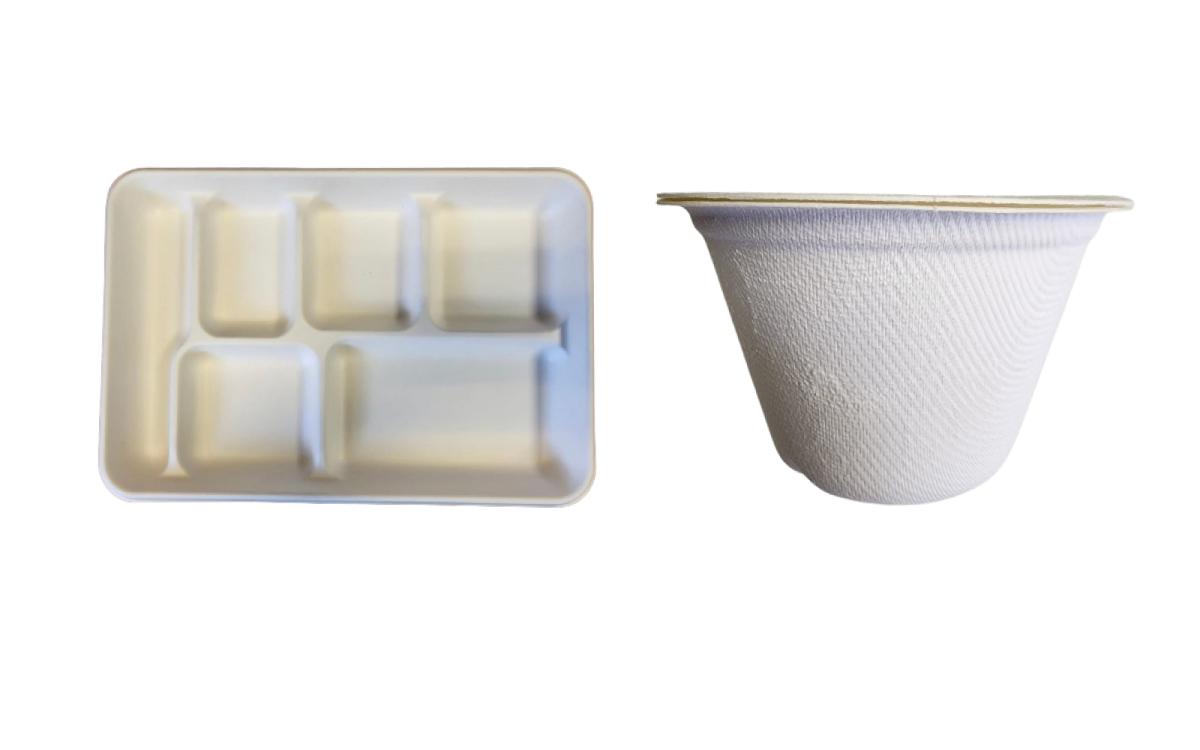 Biodegradable 6-Compartment Plates / Thali / Meal Tray - 100 with Bowl