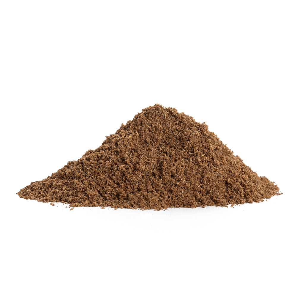 Aara Garam Masala Powder (Indian Spice w/ 11 Spice Blend) - 7 oz Aara Garam Masala Powder (Indian Spice w/ 11 Spice Blend) - 7 oz