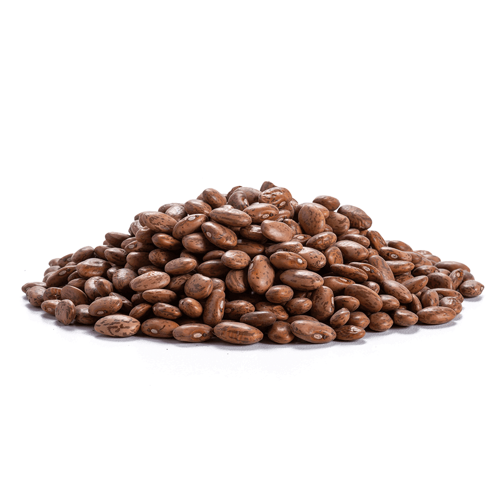 Wholesale Aara Pinto Beans - 4 lb  - 10 Pack (1 Case)