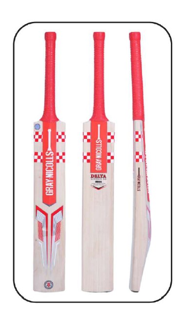 GRAY NICOLLS DELTA English Willow bat (2025) 