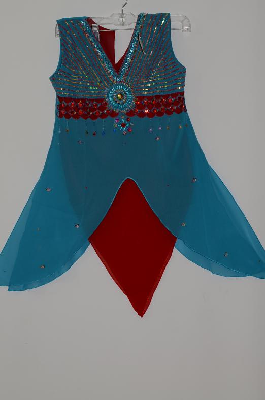 Blue & Red Georgette Dress w/ Salwar Pants & Separate Short Sleeves Blue & Red Georgette Dress w/ Salwar Pants & Separate Short Sleeves