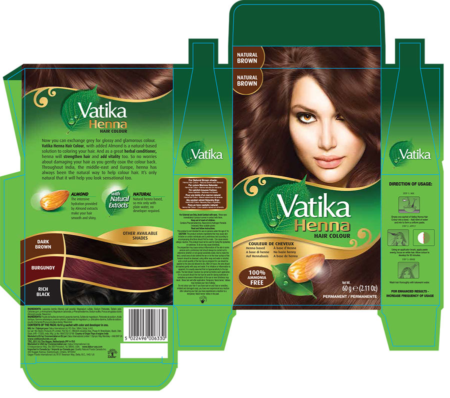 Dabur Vatika 100% Natural Henna Hair Color Kit - Natural Brown #34736 | Buy  Dabur Vatika Online