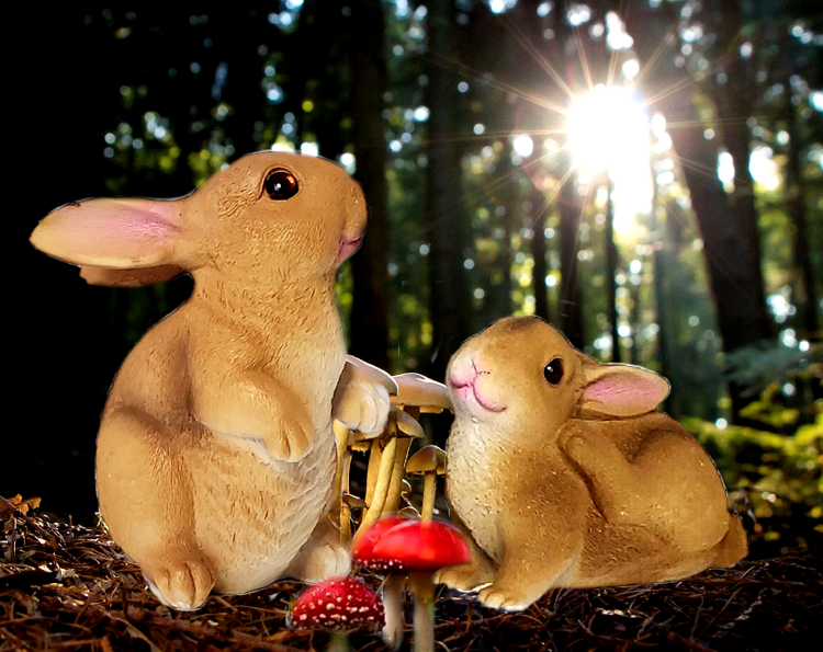 Garden 2pc Rabbit Outdoor Statue Ornament Sculpture Patio Lawn Home Decor Garden 2pc Rabbit Outdoor Statue Ornament Sculpture Patio Lawn Home Decor