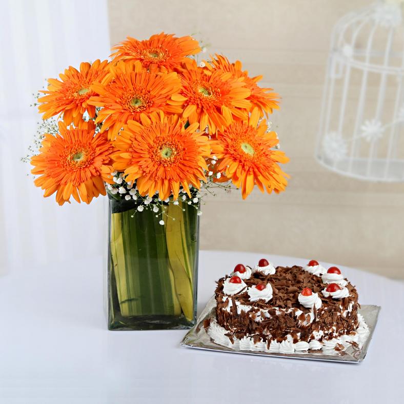 Half Kg Black Forest Cake w/ 8 Orange Gerberas In A Glass Vase Half Kg Black Forest Cake w/ 8 Orange Gerberas In A Glass Vase