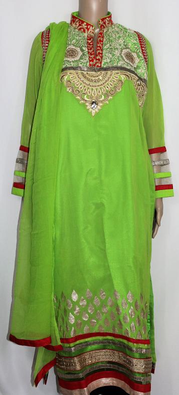 parrot punjabi suit