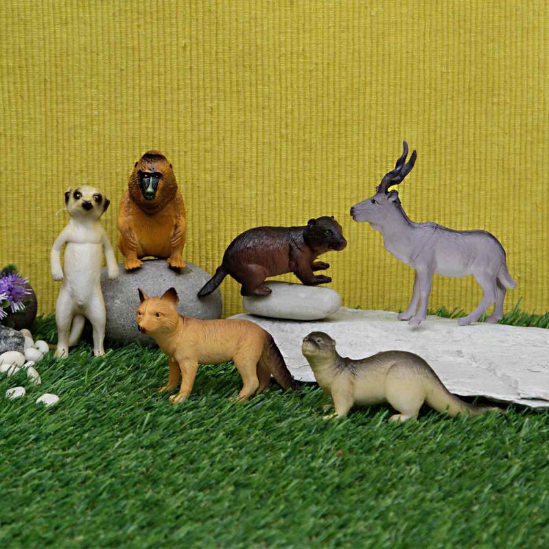 Animal World Set-6 Pcs