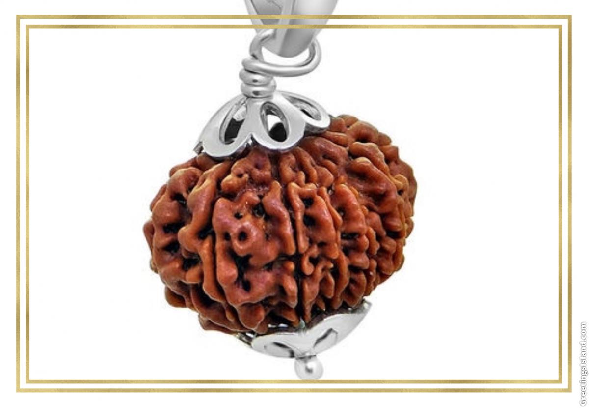 Original Nepali 8 mukhi Rudraksha 801