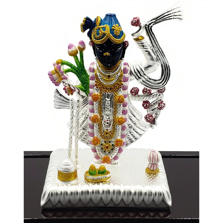 999 Pure Silver Srinath Ji Idol