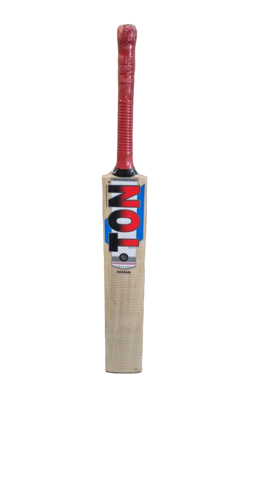 SS Ton Maximus Kashmir Willow Leather Ball Cricket Bat Adult Size -