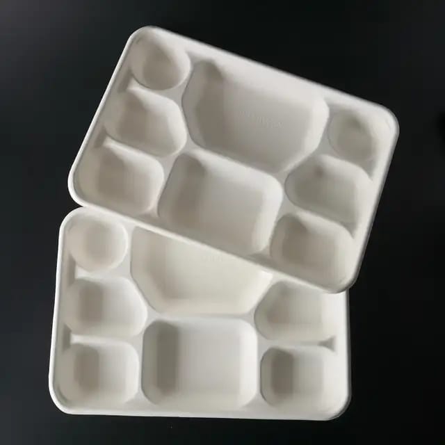Eco Friendly 8 Compartment Bagasse Disposable Plates 25 Pcs Pack