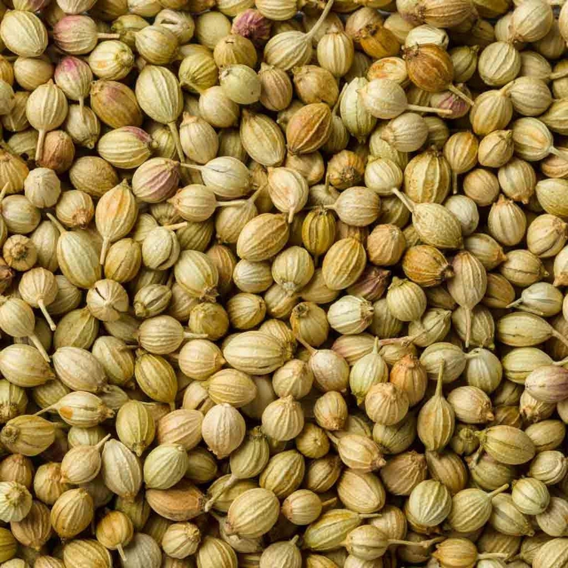 Swadesi Coriander Seeds 200gm