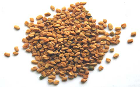 Fenugreek / Methi Seeds  7oz (3 Pack)