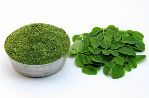 360 Health Foods Moringa Leaf Powder 