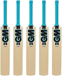 GM Neon Kashmir Willow Cricket bat Junior -BOYS SIZE 3,5