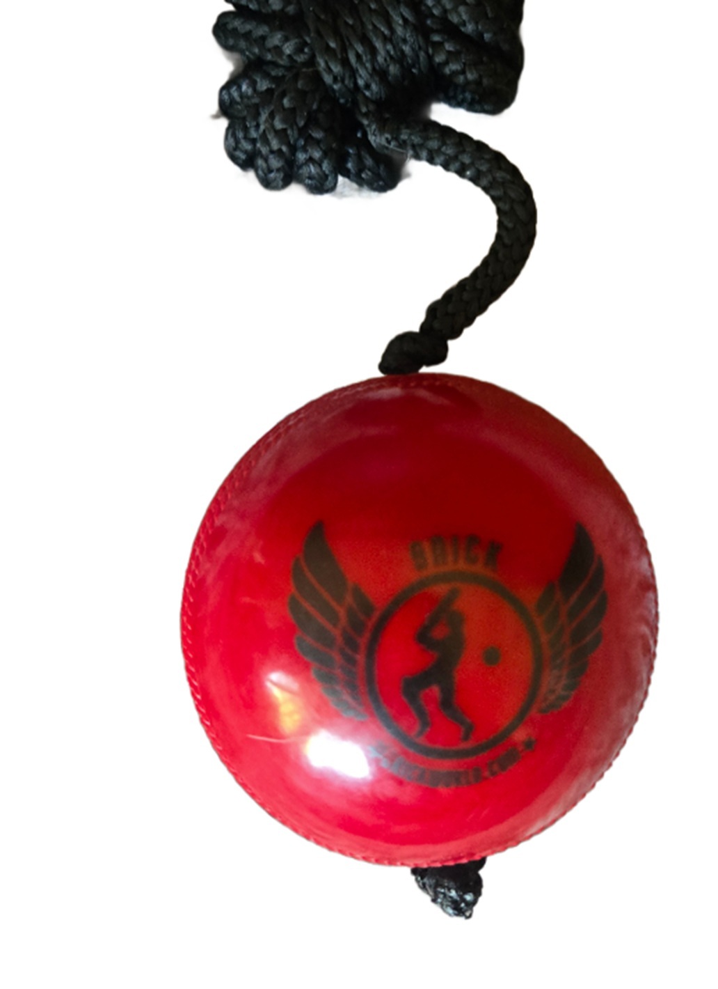 SNICK HANGING CRICKET BALL WITH STRING