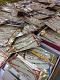 Assorted Design 2 Pcs. Rakhi Bracelet Assorted Design 2 Pcs. Rakhi Bracelet