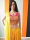 Designer Yellow Lehenga Matched With Pink Net Blouse ( Festival Discount) Designer Yellow Lehenga Matched With Pink Net Blouse ( Festival Discount)
