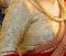 Gold Brocade Blouse Choli for Saree - Large 42 to Plus Size 58 #8369 Gold Brocade Blouse Choli for Saree - Large 42 to Plus Size 58 #8369