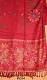 Shawl 5354 Red Winter Stole Wrap Shieno Sarees Shawl 5354 Red Winter Stole Wrap Shieno Sarees