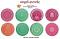DIY Rangoli Stencils 10" Round Each (Set of 8 Pcs)