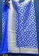 Banarsi Silk Gold Zari Detail Dupatta Chunni Stole #8601 Banarsi Silk Gold Zari Detail Dupatta Chunni Stole #8601