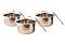Stainless Steel Large Patila / Topia Indian Pot w/ Lid's Set of 3 Sizes