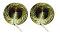 Hand Cymbal Metal Clapper Brass Manjeera Set for Dance / Bhajan (3") Hand Cymbal Metal Clapper Brass Manjeera Set for Dance / Bhajan (3")